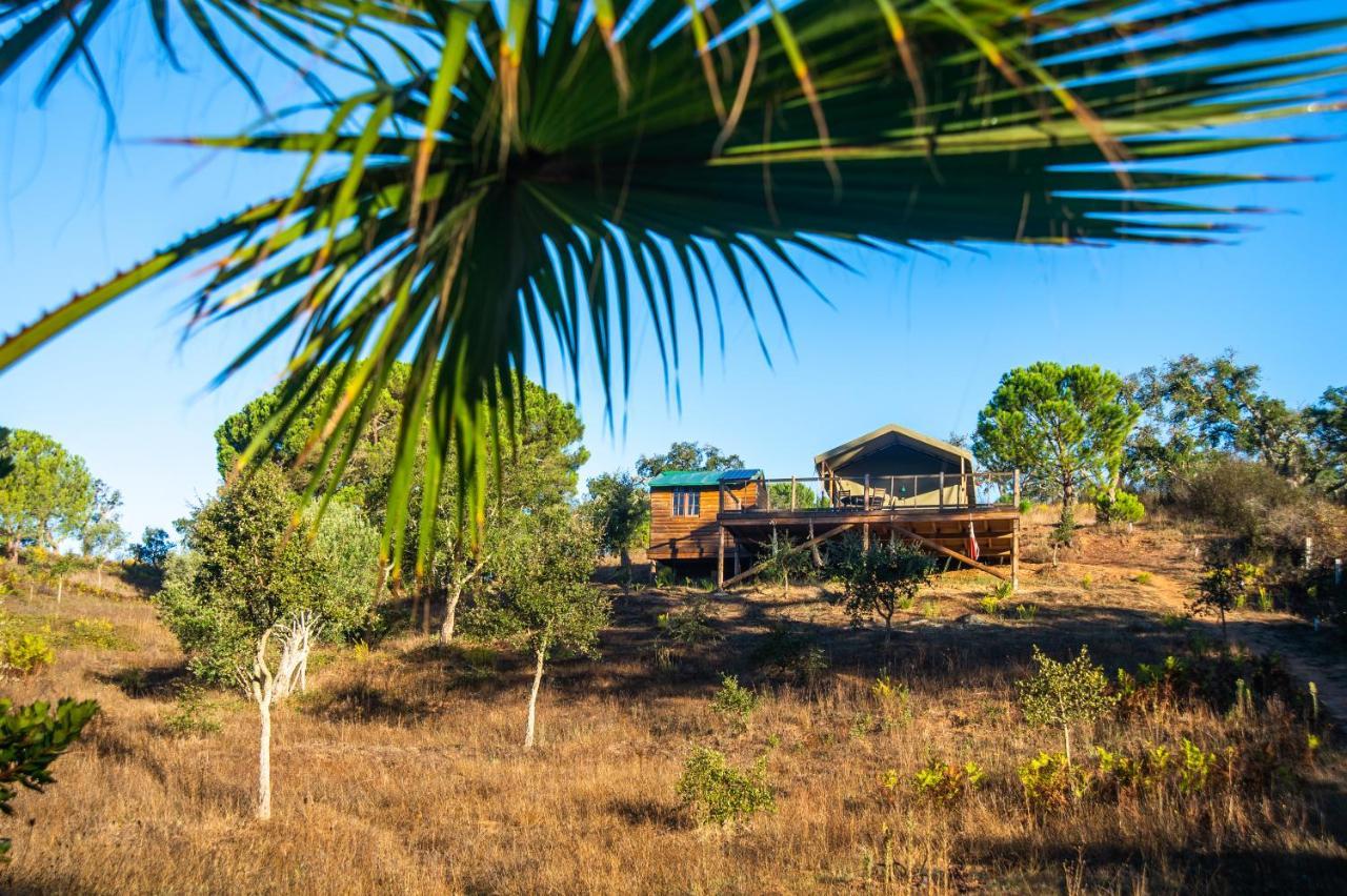 Figueirinha Ecoturismo Guest House Monte da Estrada Exterior photo
