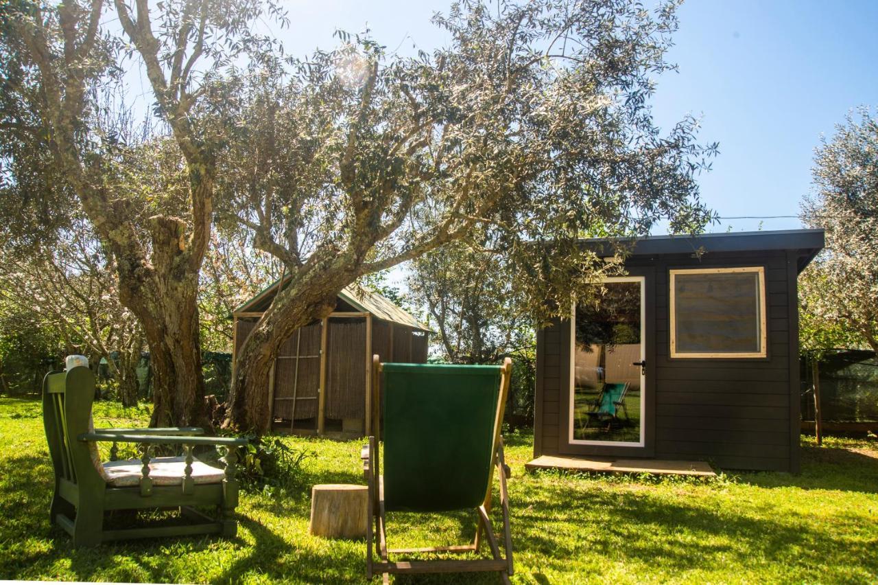 Figueirinha Ecoturismo Guest House Monte da Estrada Exterior photo